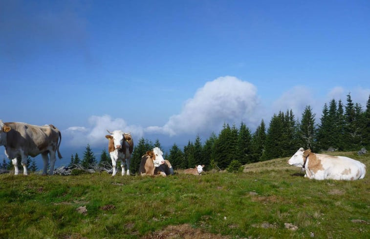 Natuurhuisje in Pack