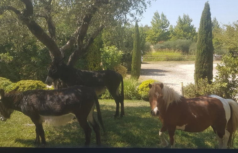 Natuurhuisje in San Giuliano terme