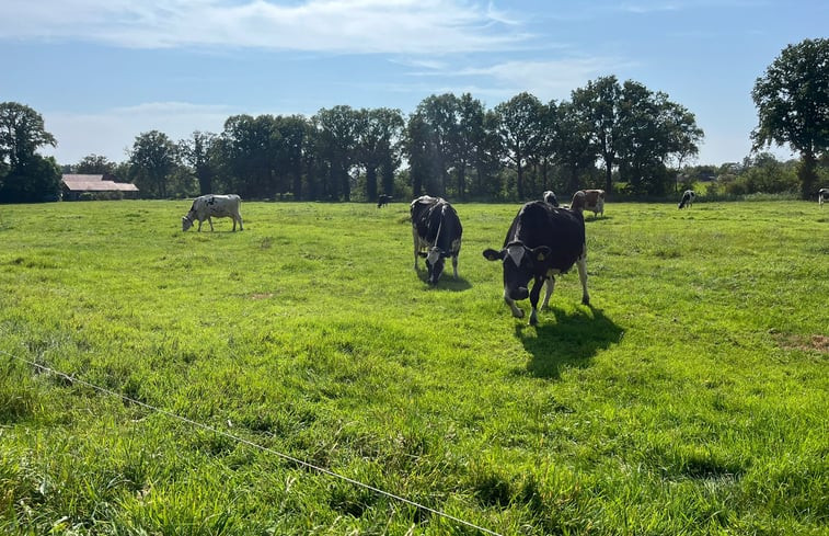 Natuurhuisje in Ruurlo