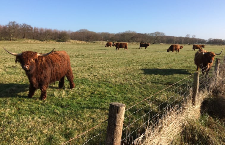 Natuurhuisje in Egmond-Binnen