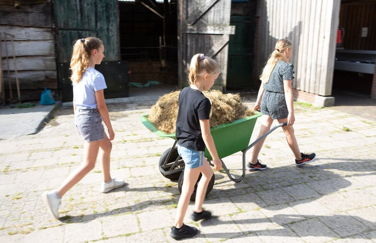 Natuurhuisje in Ellertshaar