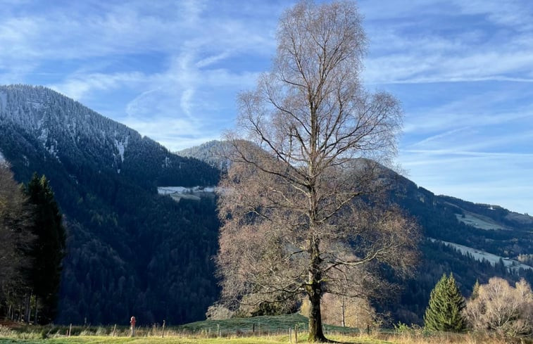 Natuurhuisje in Laterns