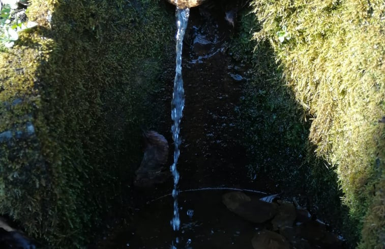 Natuurhuisje in Bad Stuer