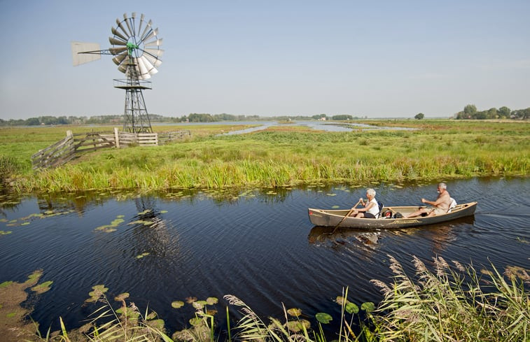 Natuurhuisje in Driezum