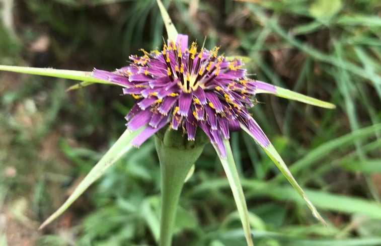 Natuurhuisje in Domaine de Ventajou