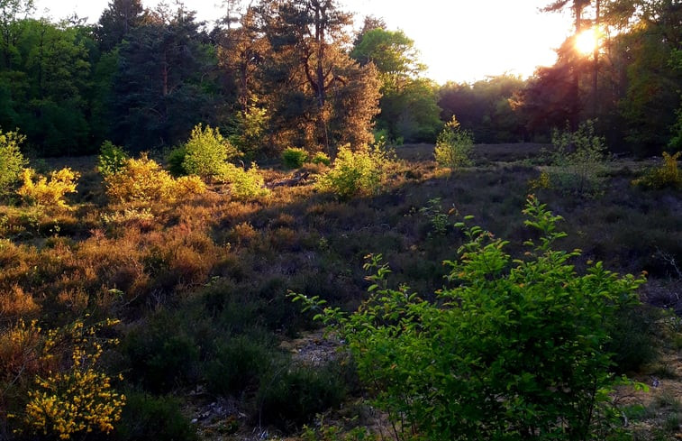 Natuurhuisje in Losser