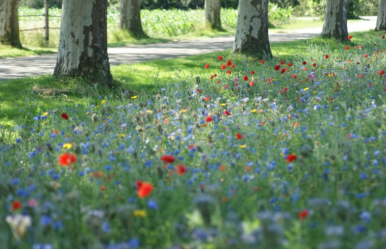 Natuurhuisje in Zutphen