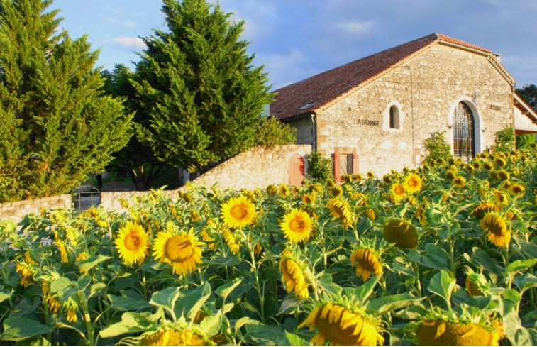 Natuurhuisje in Touffailles