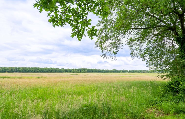 Natuurhuisje in IJhorst