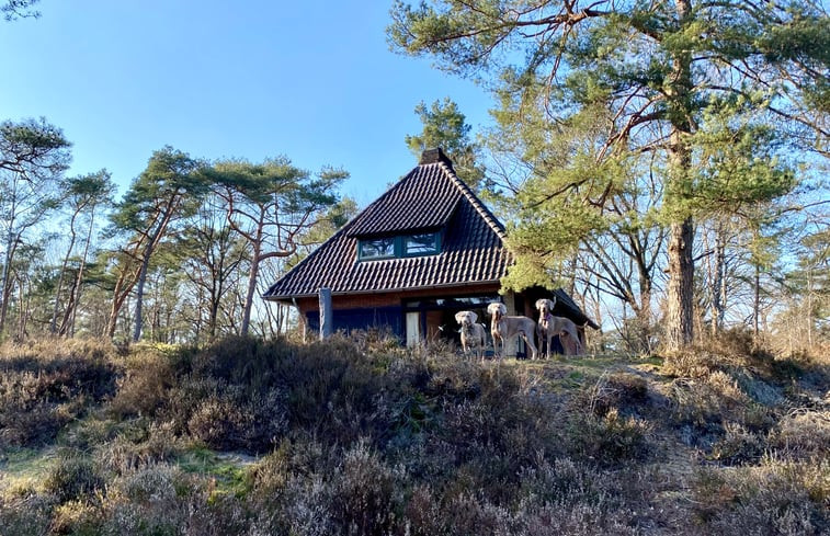 Natuurhuisje in Epe