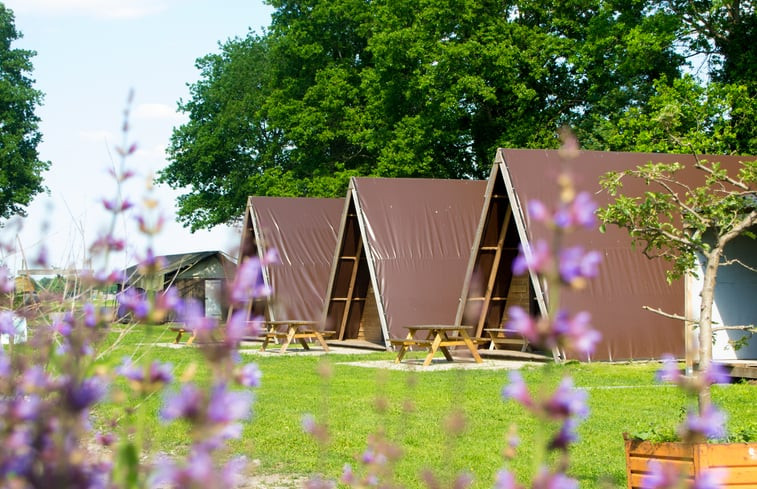 Natuurhuisje in Grolloo