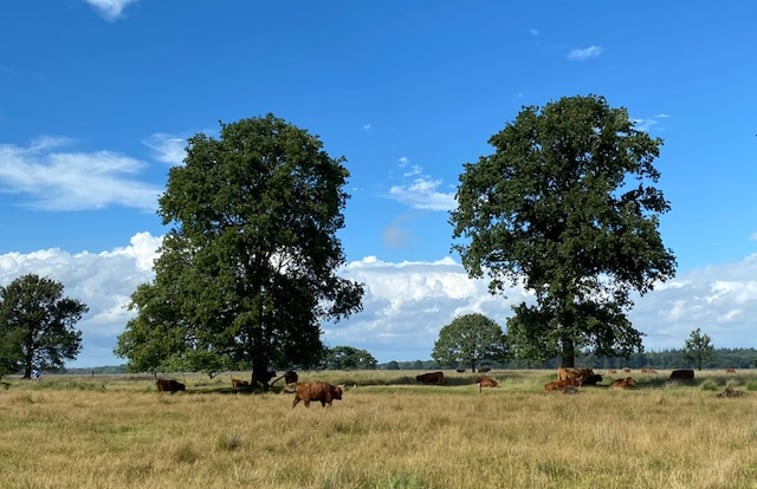 Natuurhuisje in Oude Willem