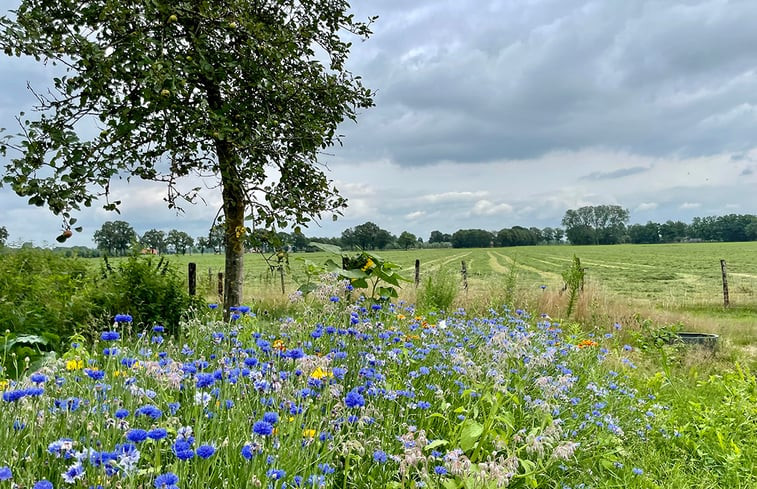 Natuurhuisje in Empe