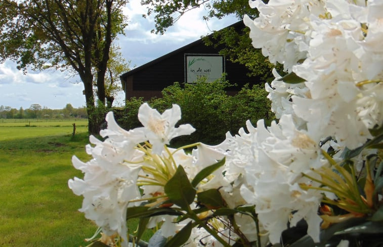 Natuurhuisje in Erp