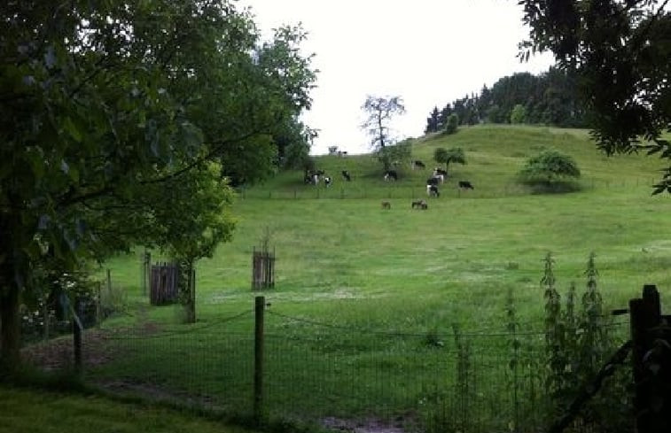 Natuurhuisje in Wijlre