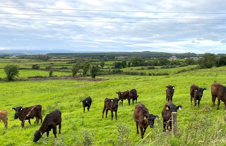 Natuurhuisje in Glin