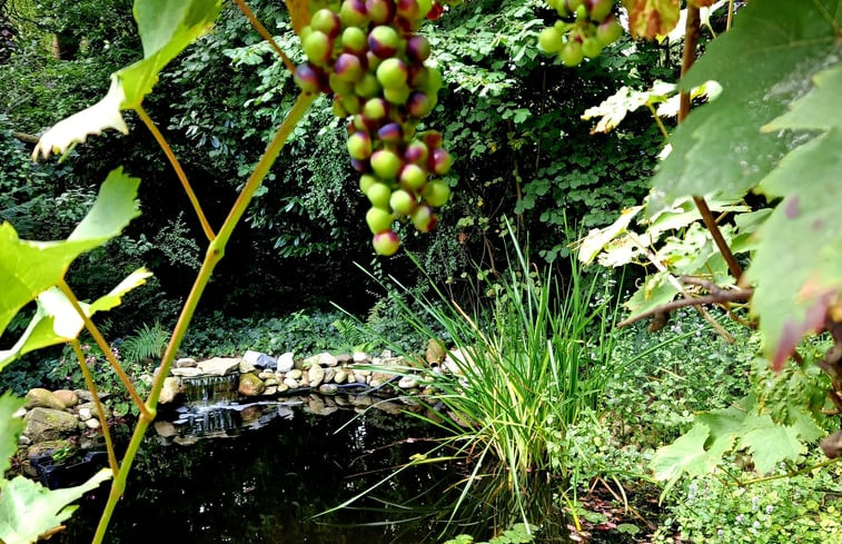 Natuurhuisje in Holten