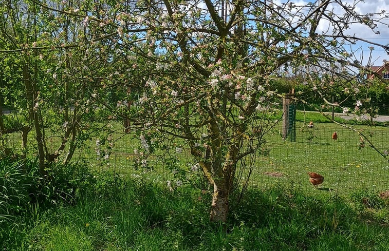 Natuurhuisje in brimeux