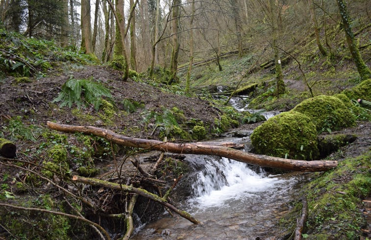 Natuurhuisje in Waulsort