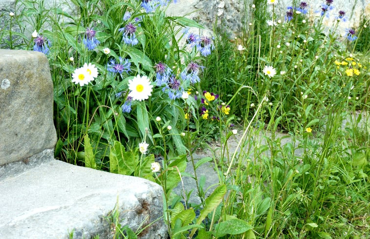 Natuurhuisje in Hinterhermsdorf