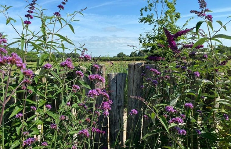 Natuurhuisje in Dalerveen