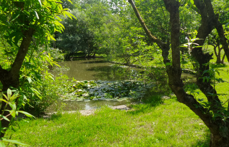 Natuurhuisje in castiglione del lago