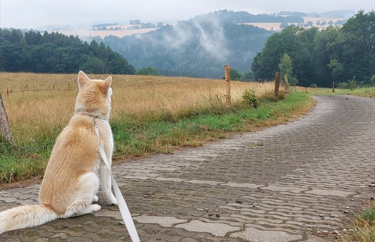 Natuurhuisje in Großrückerswalde OT Streckewalde