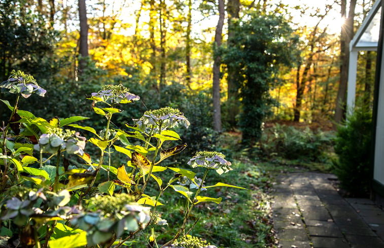 Natuurhuisje in Epse