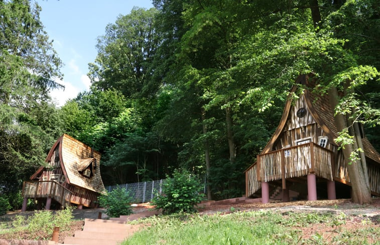 Natuurhuisje in Annweiler am Trifels