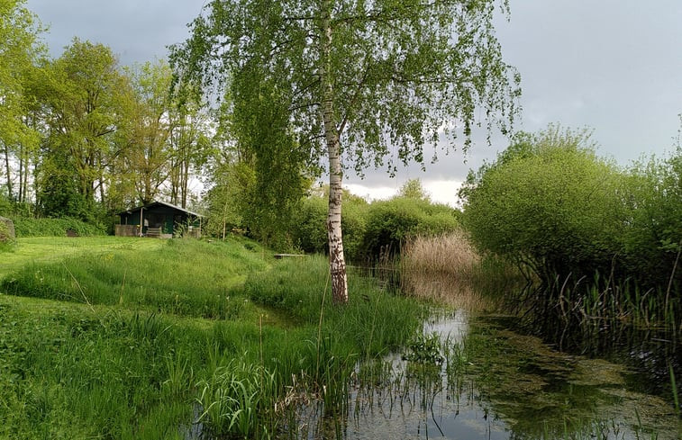 Natuurhuisje in Brummen