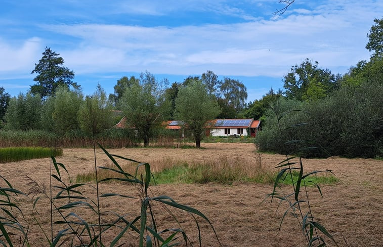 Natuurhuisje in Brummen