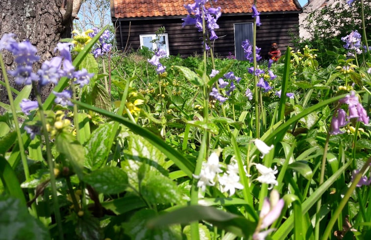 Natuurhuisje in IJsselham