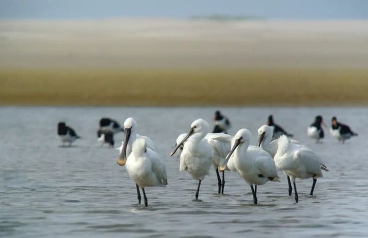 Natuurhuisje in Van Ewijcksluis