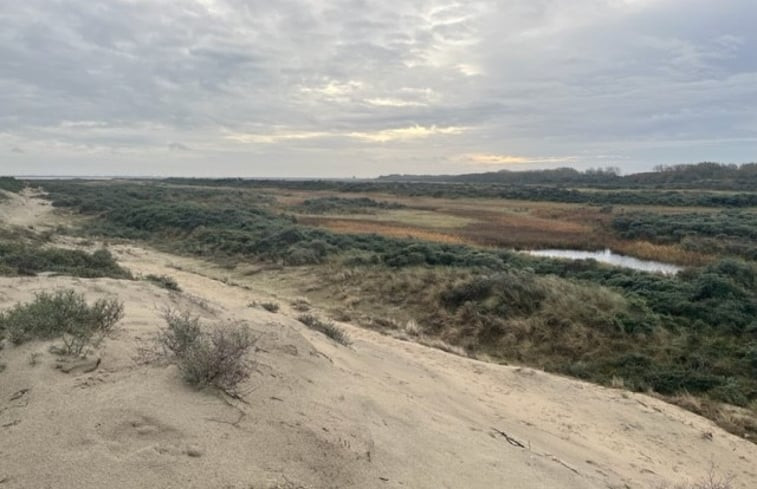 Natuurhuisje in Goedereede