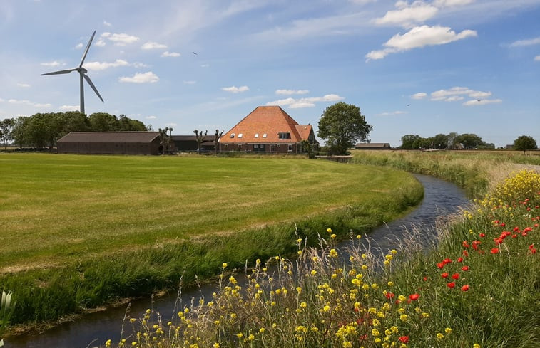 Natuurhuisje in Haringhuizen