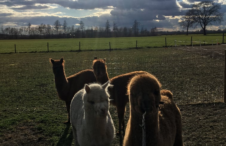 Natuurhuisje in Markelo