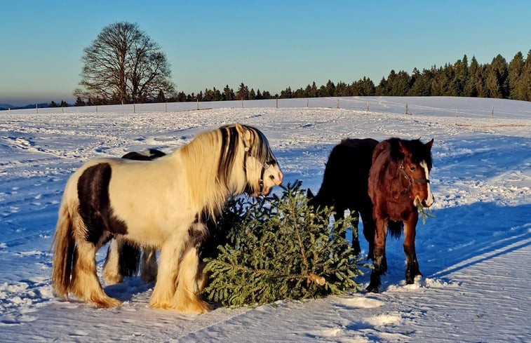 Natuurhuisje in Oberstaufen