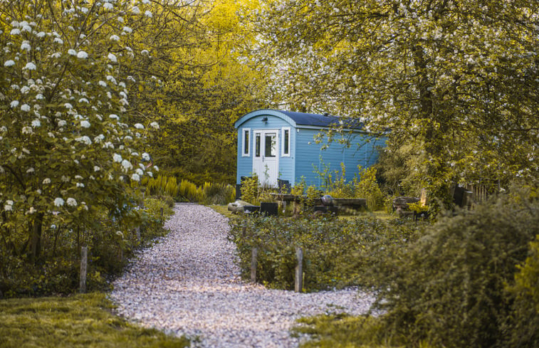 Natuurhuisje in Waskemeer