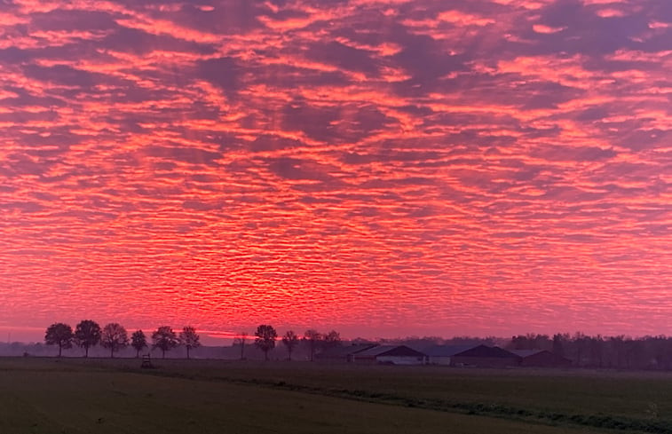 Natuurhuisje in De Rips