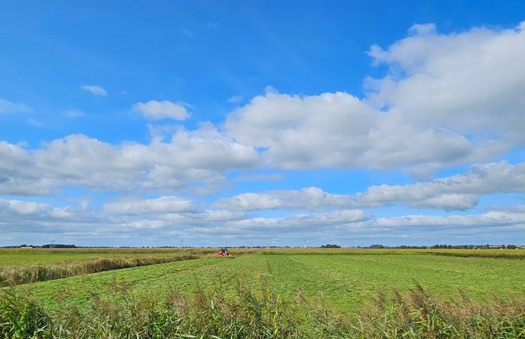 Natuurhuisje in Ouwster-Nijega