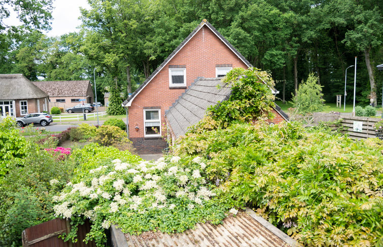 Natuurhuisje in Odoorn