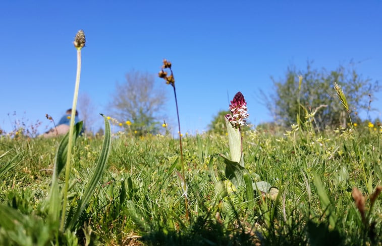 Natuurhuisje in PENSOL