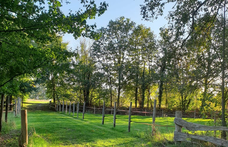 Natuurhuisje in Vorden