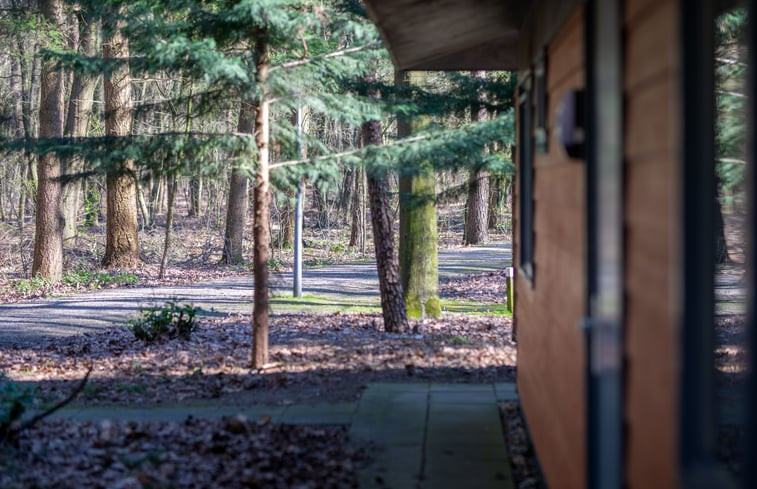 Natuurhuisje in Voorthuizen