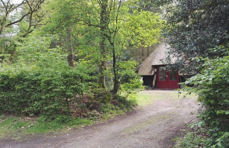 Natuurhuisje in Vierhouten