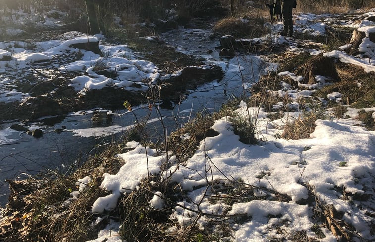 Natuurhuisje in Jalhay