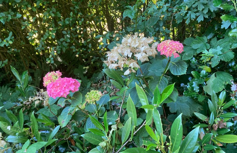 Natuurhuisje in Groet