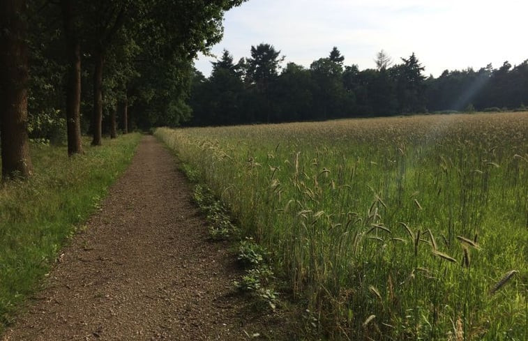 Natuurhuisje in Rijsbergen