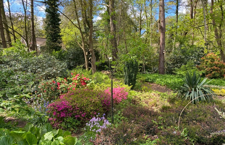 Natuurhuisje in Huijbergen