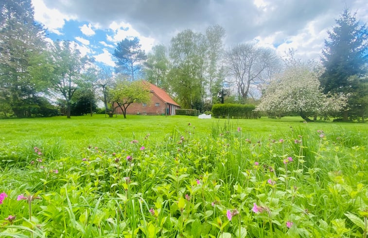 Natuurhuisje in Blijham